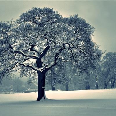 半岛bob综合登入app下载